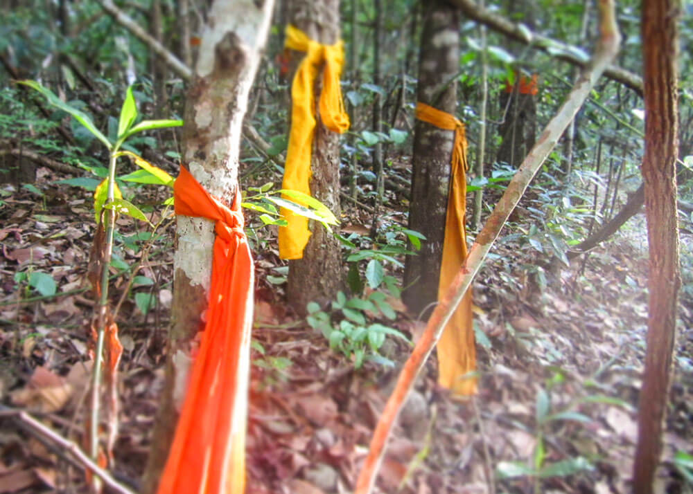 meilleurs temples à chiang mai