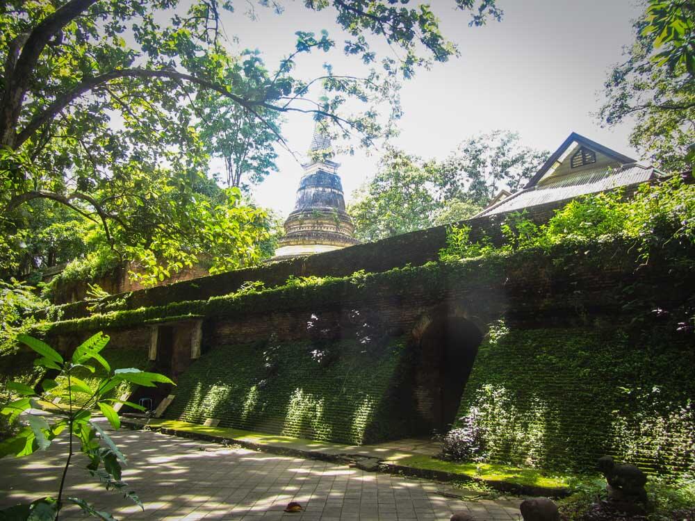 Les meilleurs temples de Wat Umong à Chiang Mai