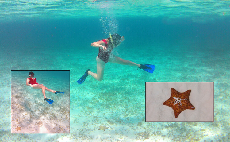 La plage El Cielo et ses étoiles de mer