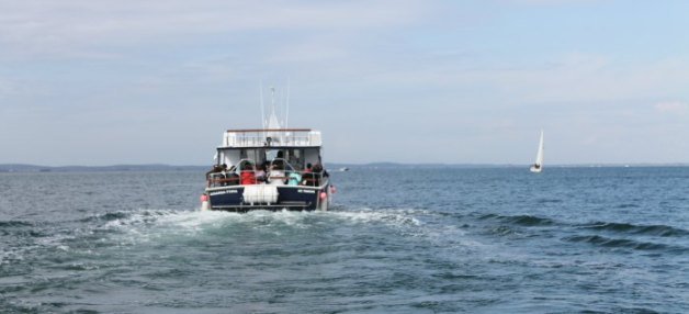 Bateau dans le Bassin d'Arcachon