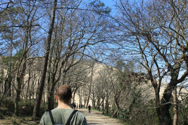 Premier aperçu de la Dune du Pyla à Arcachon