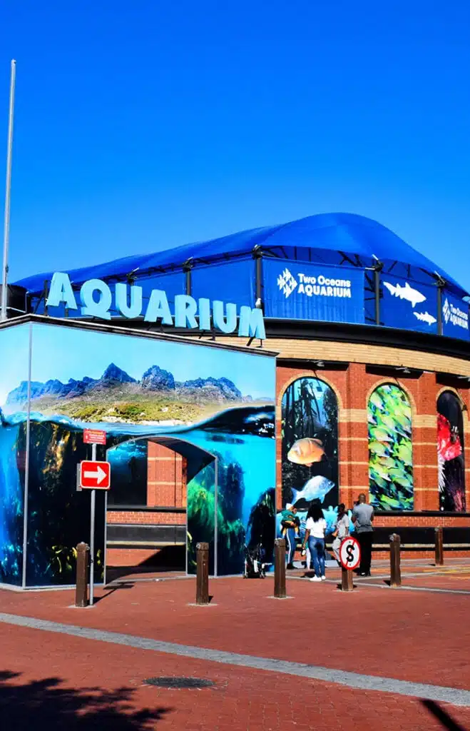 Two Oceans Aquarium at the V_a Waterfront - Cape Town Tourism