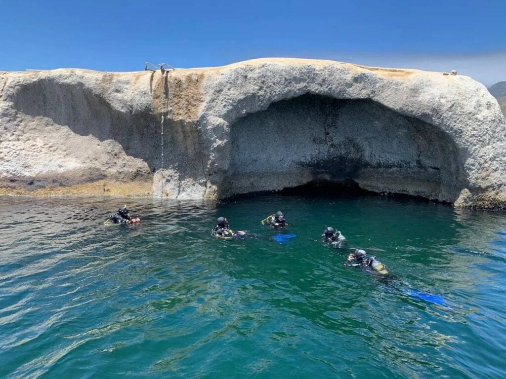 Poissons Diver's Cave - Cape Town Tourisme Grotte du plongeur Poissons