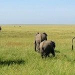 Circuits Viva Afrique |  Nos moments préférés en Tanzanie