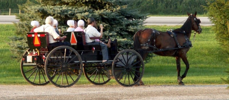 Philadelphia Amish, les meilleures excursions depuis New York