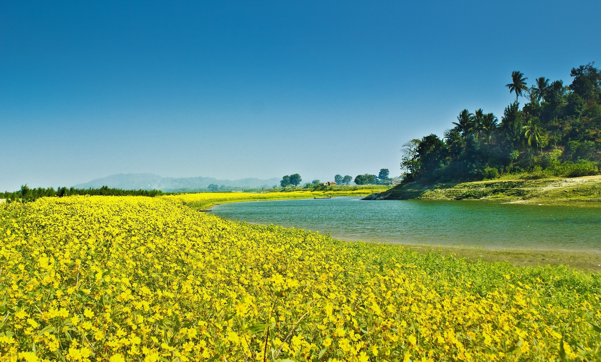 Top 6 des lieux touristiques de l'Assam en 2020 (attractions touristiques, lieux à visiter)