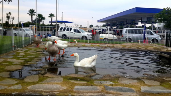 25 conseils pour voyager avec les enfants 3 Narch Garage - Bloemfontein