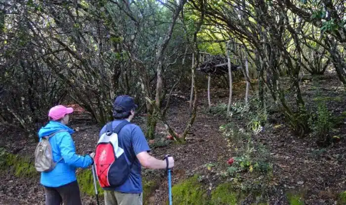 Le Camino de los Prodigios est situé au sud de la province de Salamanque