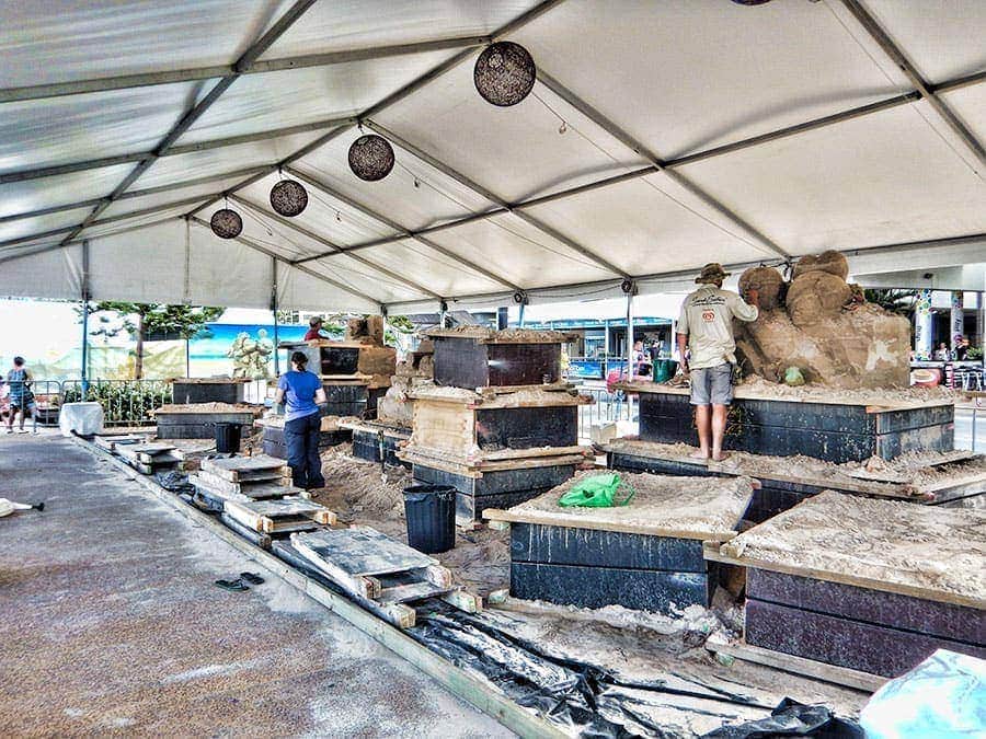 Safari sur sable | Safari sur sable sur la Gold Coast