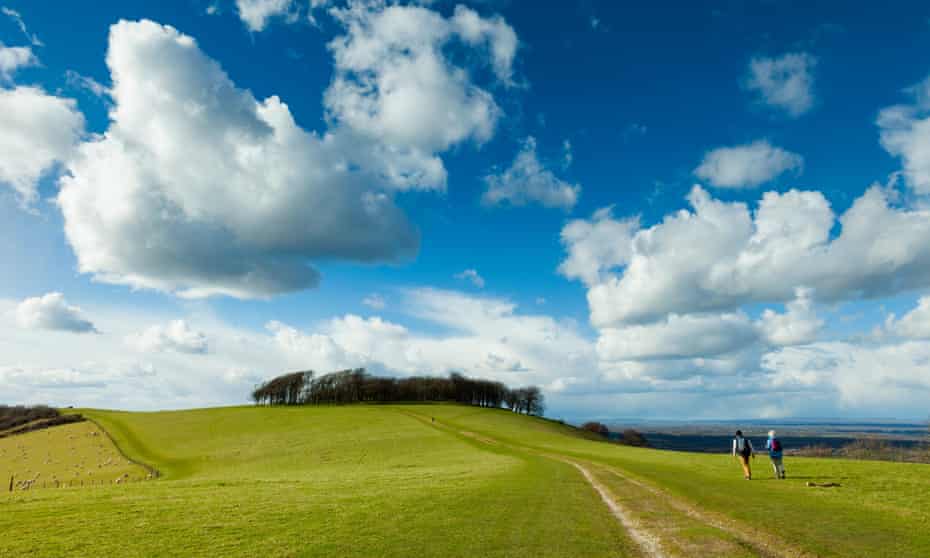 « La section du South Downs Way près du fort préhistorique de Chanctonbury est particulièrement belle » – Washington, West Sussex.