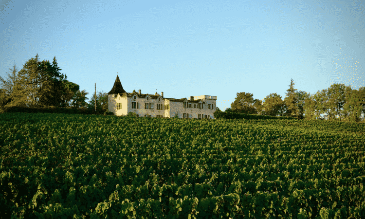 Maison des Vignobles, Francia
