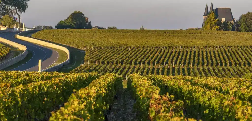 Région Médoc et ses vignobles France