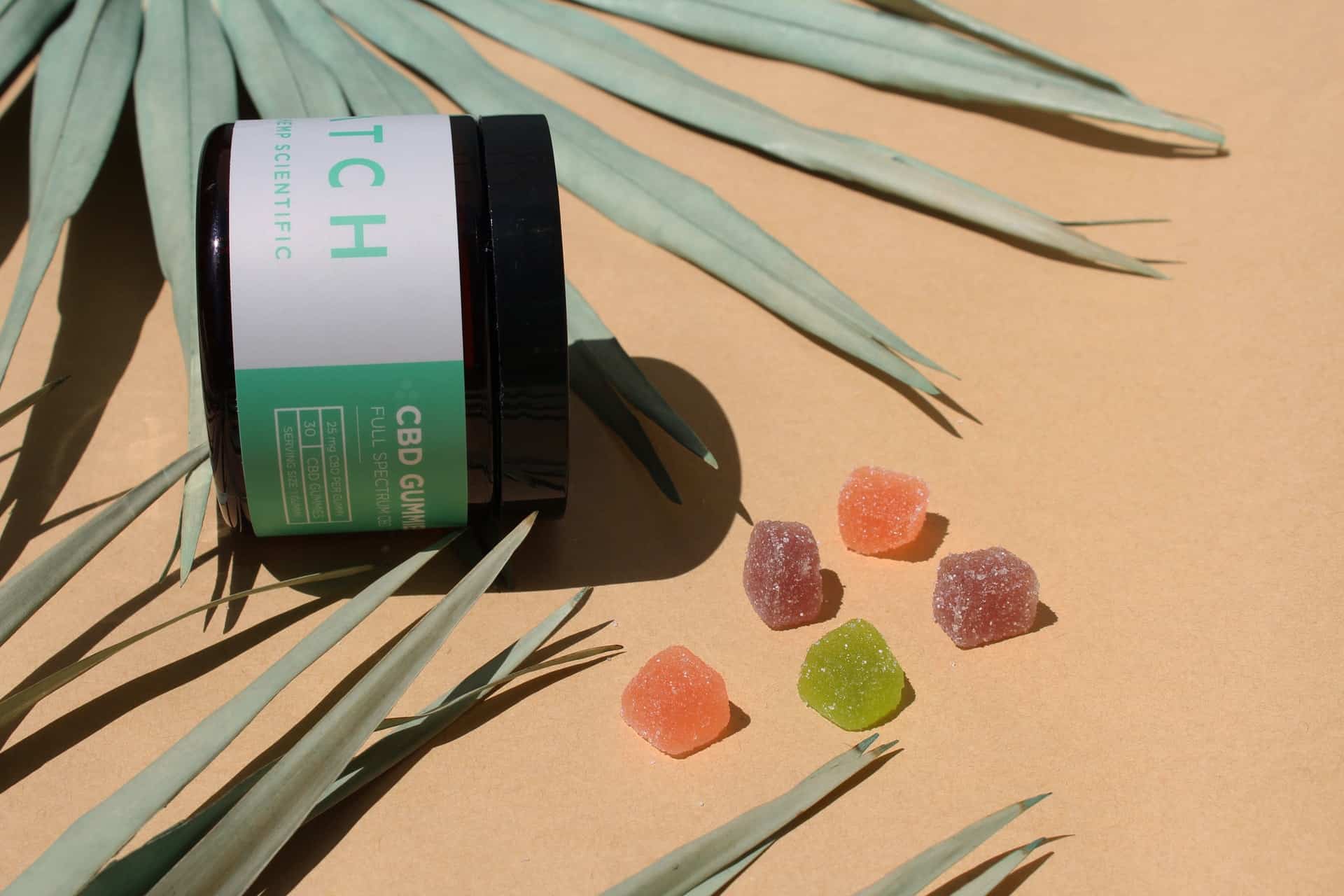 Huile de CBD vs CBD Gummies : quel est le meilleur et pourquoi ?