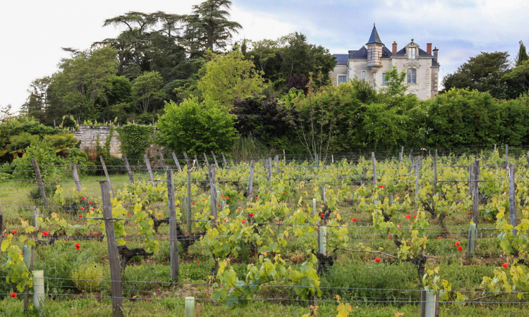 La Maison Du Vigneron