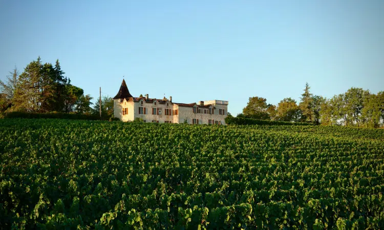 Maison des Vignobles, France