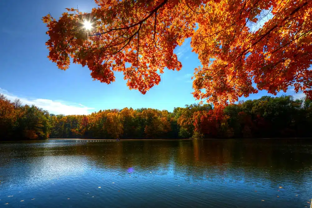 Parc d'État John James Audubon