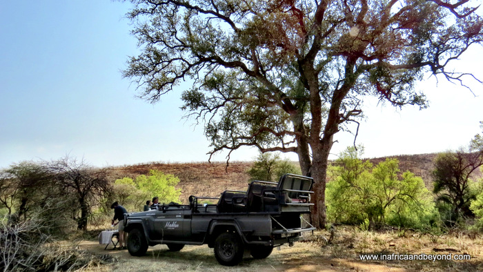 Madikwe Safari Lodge