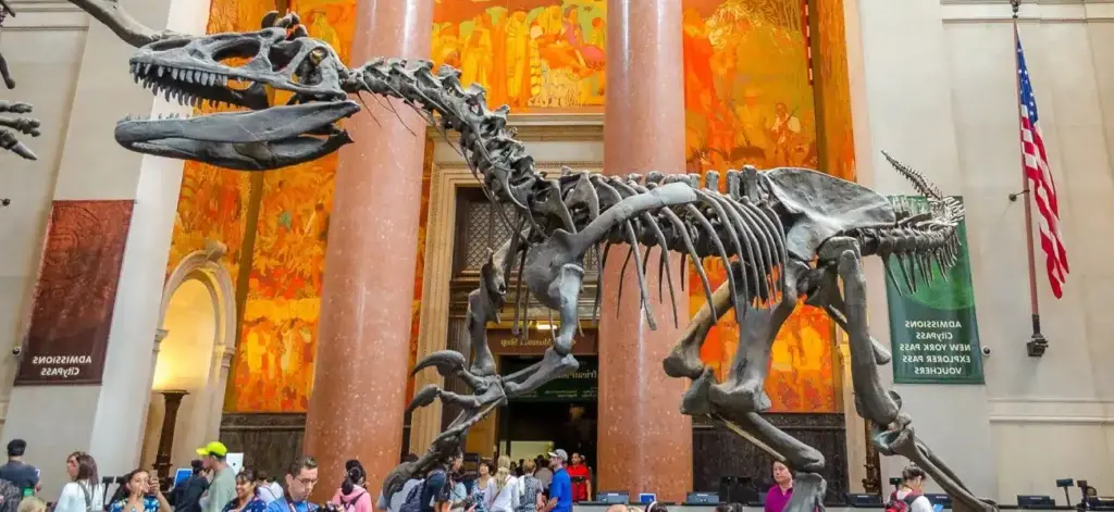 Musée d'histoire naturelle