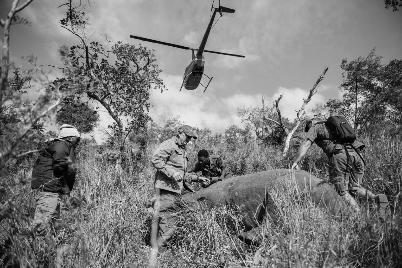 Des gens sur le terrain sauvent nos rhinocéros en Afrique