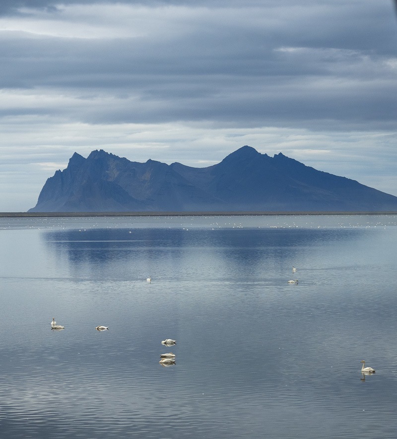 croisière Hollande Amérique Islande