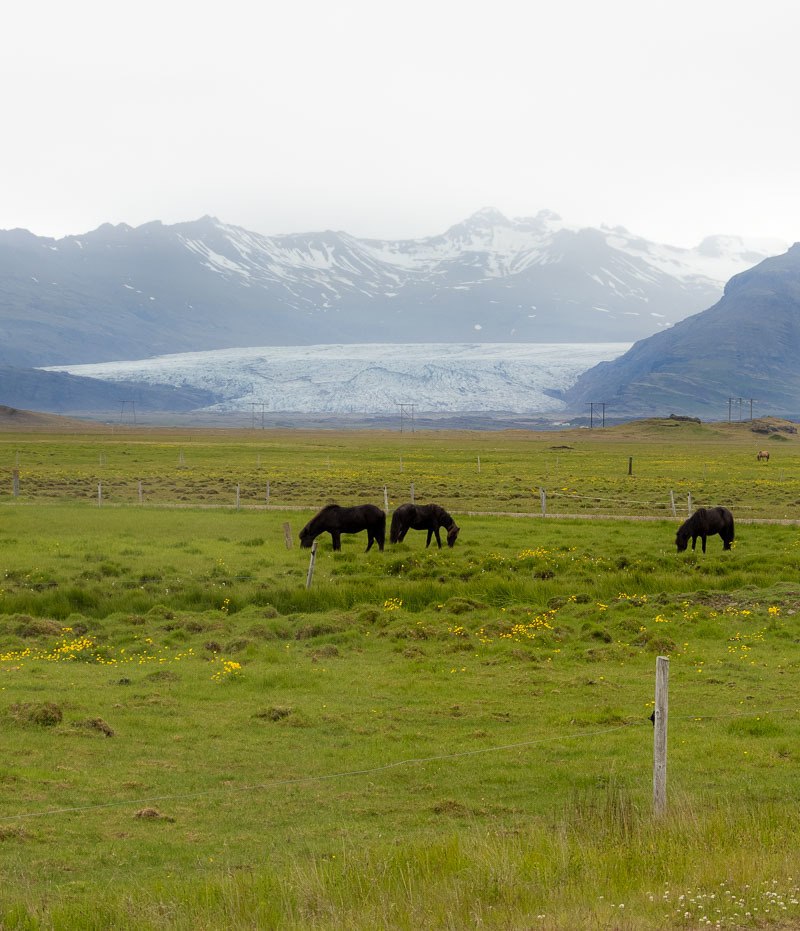 croisière Hollande Amérique Islande