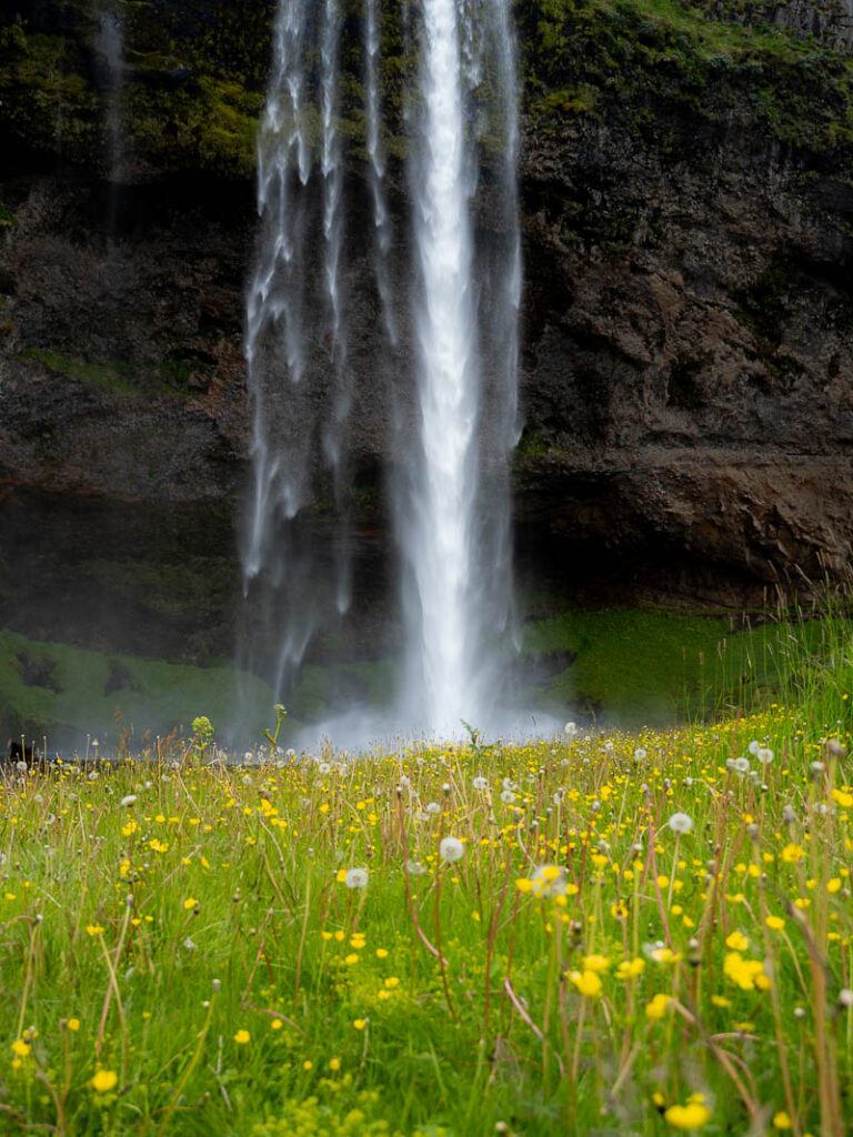 croisière Hollande Amérique Islande