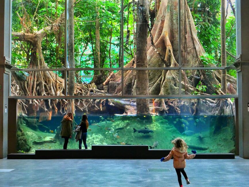 Cosmocaixa de Barcelone