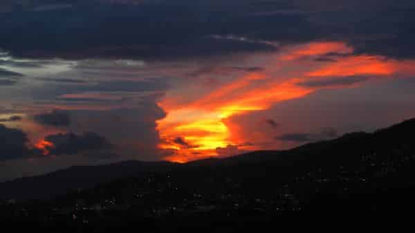 Compañeros de viaje que hacen que viajar en solitario se vea glorioso