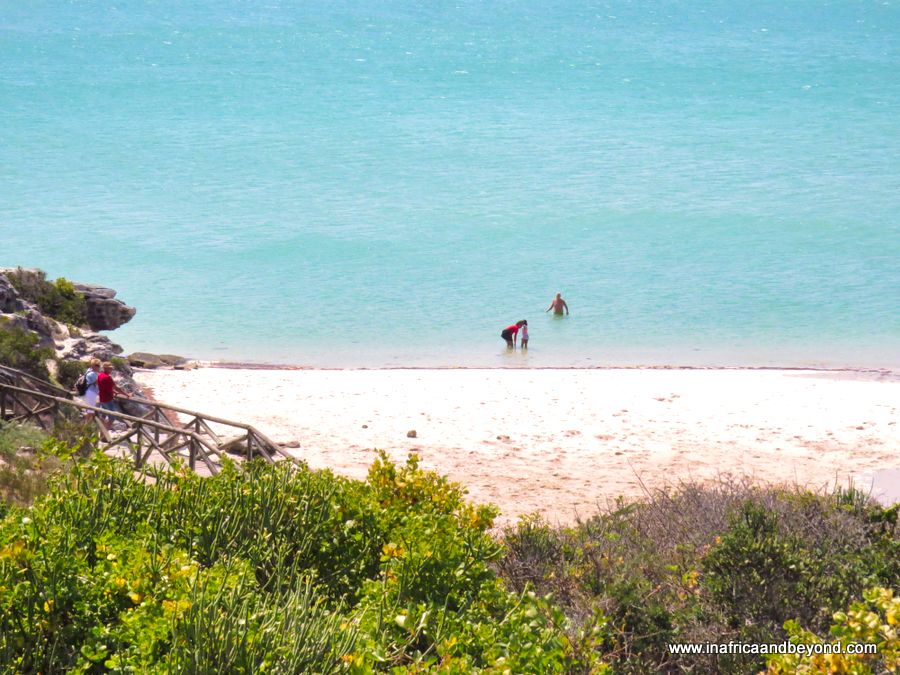 parc national de la côte ouest de Claribai