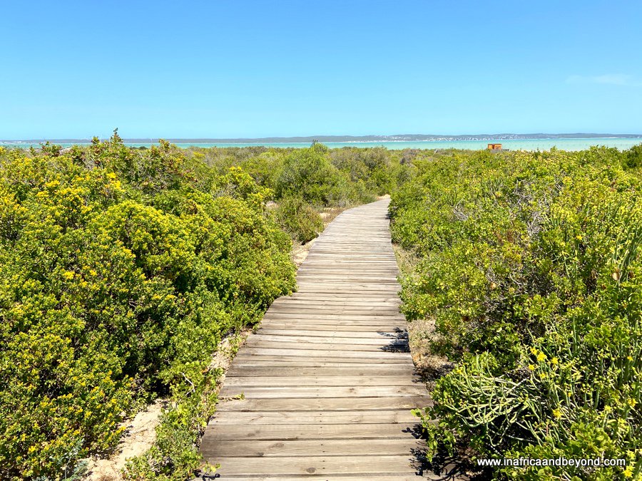 Randonnée dans le parc national de la côte ouest