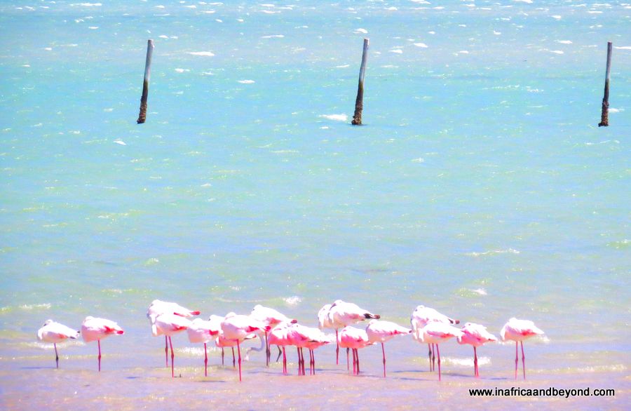parc national de la côte ouest