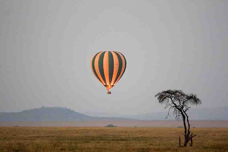 Montgolfière - Serengeti - Parc National