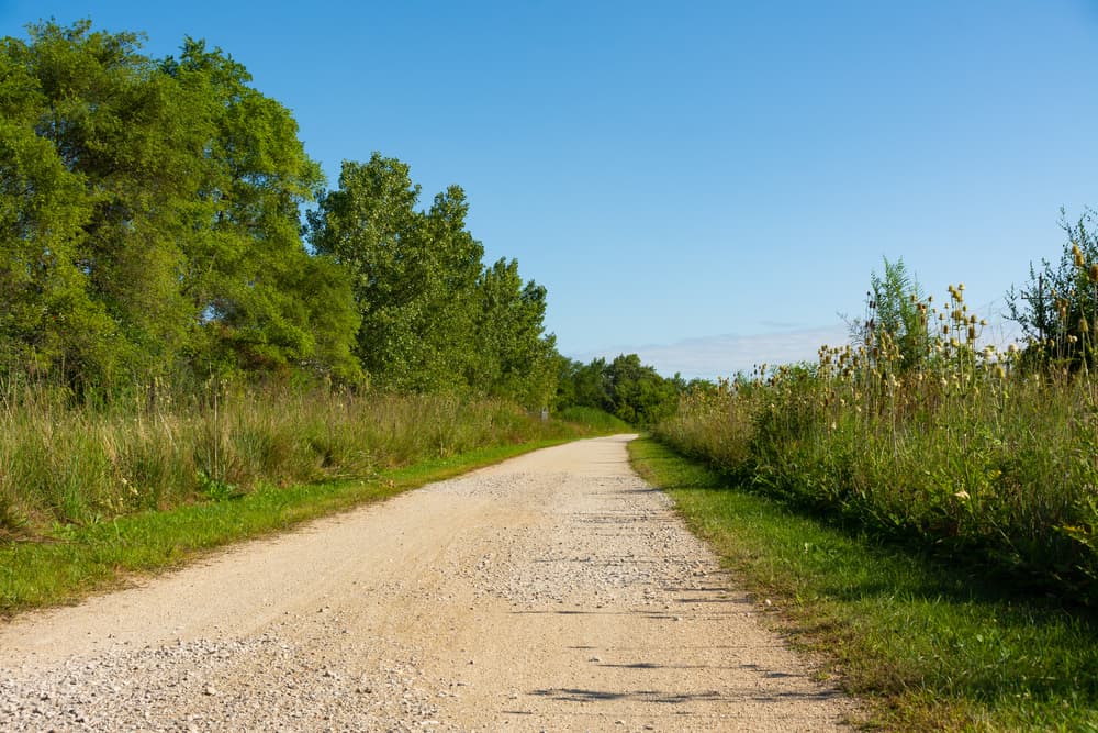 Linois et Michigan Channel Tra