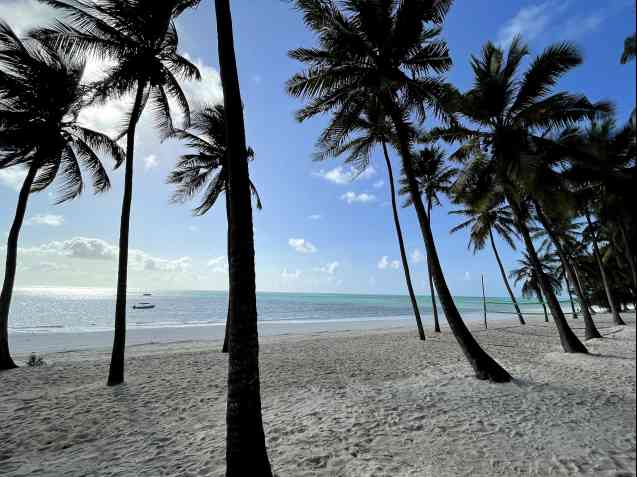 Chris et Kayla Anderson