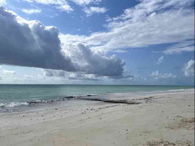 Chris et Kayla Anderson