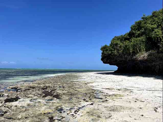 Chris et Kayla Anderson