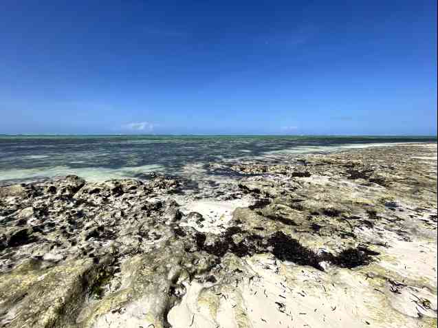 Chris et Kayla Anderson