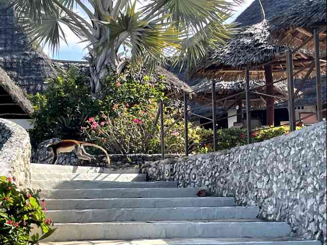 Chris et Kayla Anderson