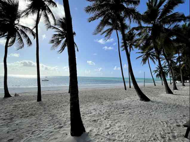 Chris et Kayla Anderson