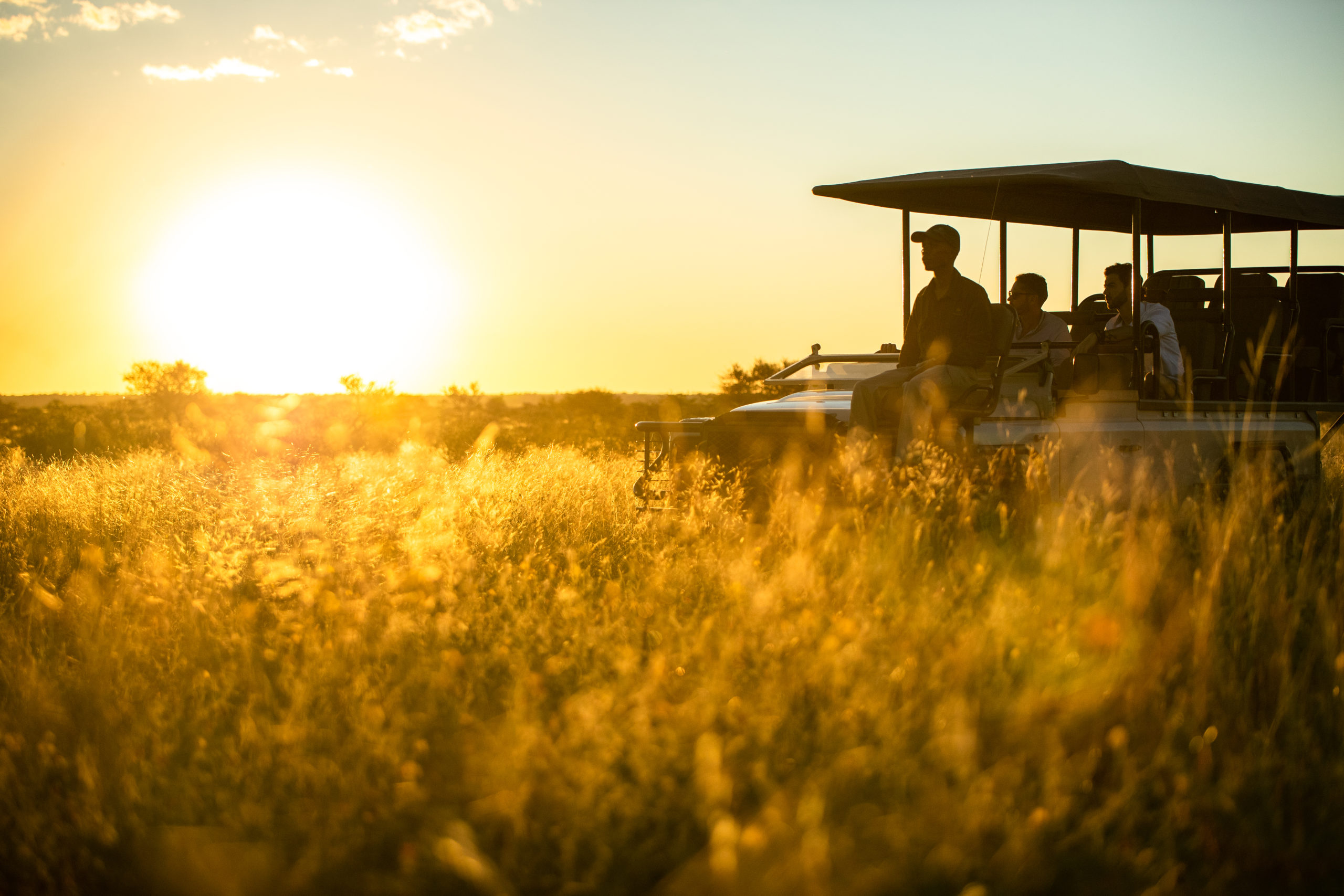 Visite du jeu au coucher du soleil du Tswalu Kalahari