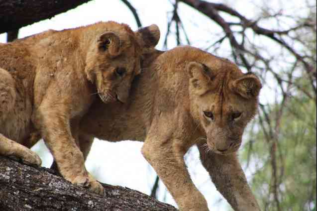 Chris et Kayla Anderson