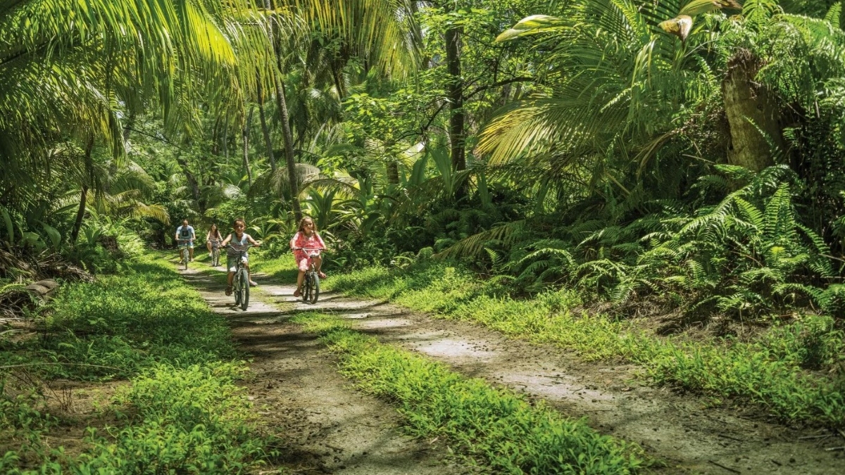 Les enfants font du vélo à travers la forêt dense