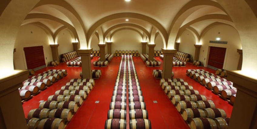 Visite privée du vin