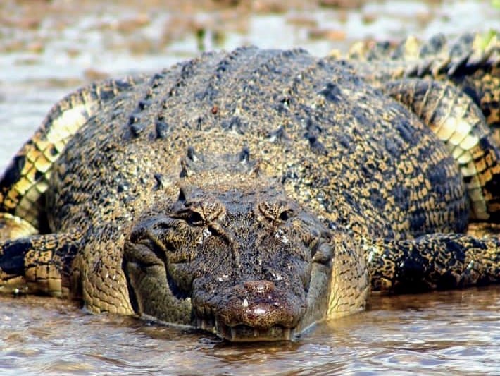 où laisser la caravane Cape York