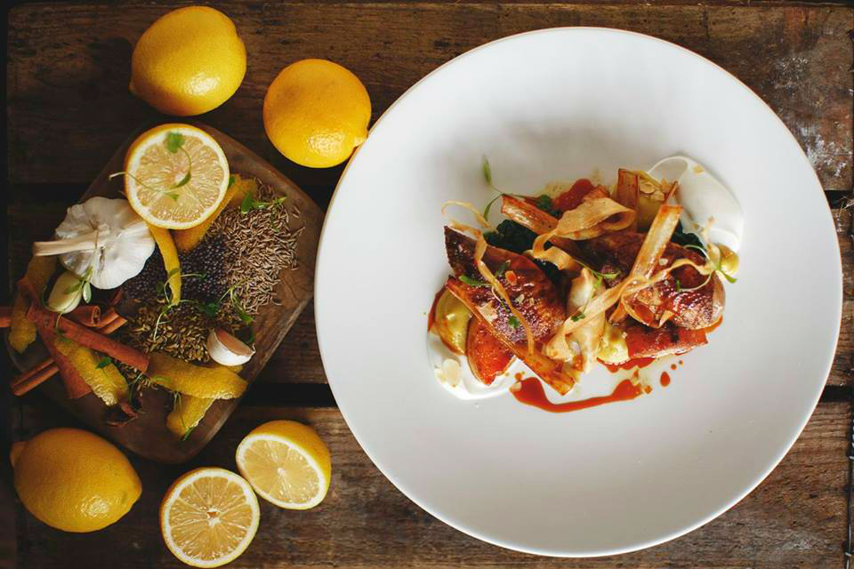 Le renard aux cheveux roux - Sussex