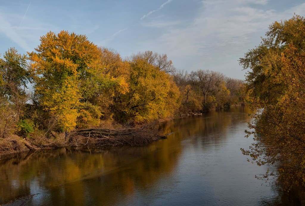 Pantalon ceinture verte Chichaqua