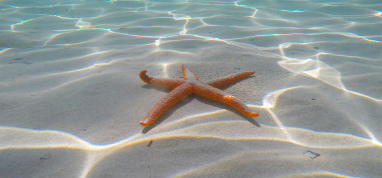 Activités de snorkeling à Minorque