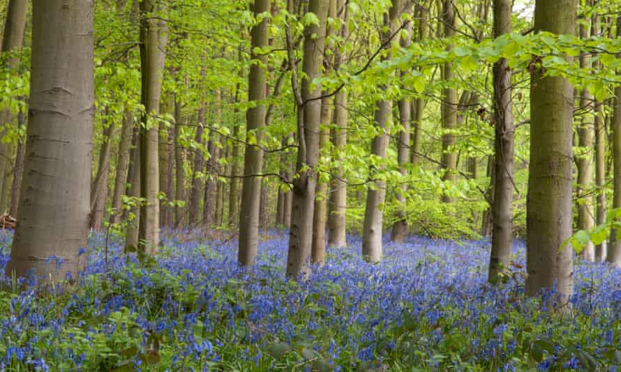 Clumber Park, Nottinghamshire