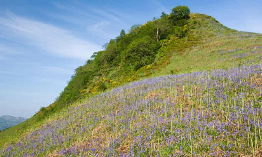 Glenfinglass, Stirlingshire
