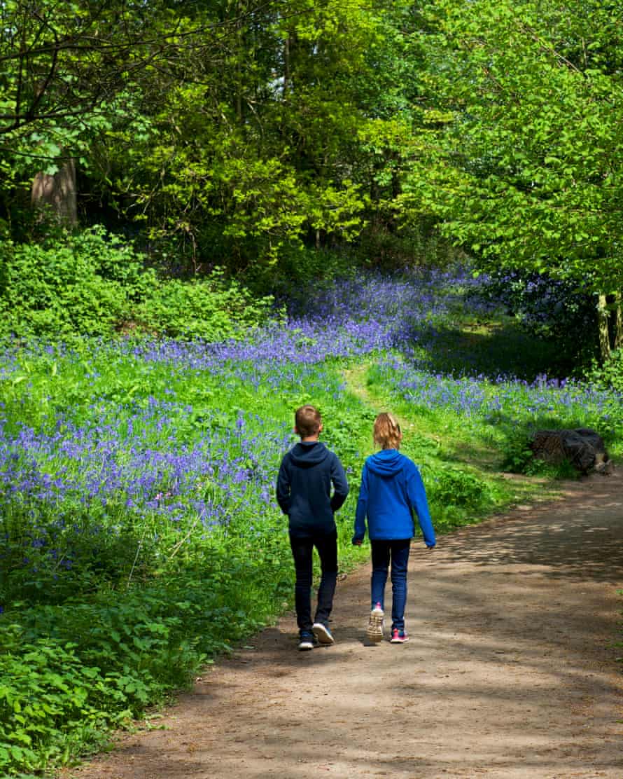 Parc et jardins de Sheffield, East Sussex